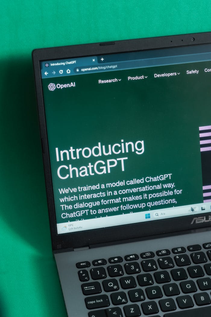services-01 Laptop screen displaying the introductory page of ChatGPT on OpenAI's website.